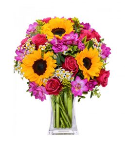 Florazone Velvet Pink Fresh Flowers Roses