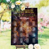 Star Wars Wedding Seating Chart
