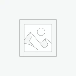 Ftd Bright Multicolor Spark Rose Bouquet